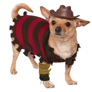 Freddy Krueger Pet Costume size Med